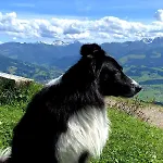 Alpstein بيت ريفي