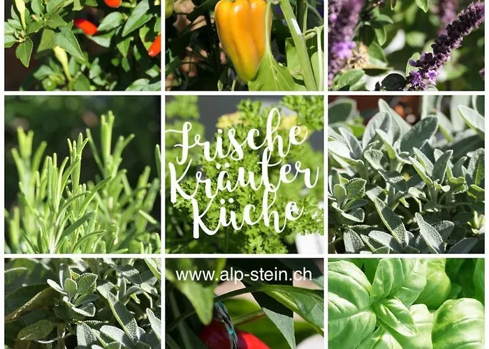 بيت ريفي Alpstein *