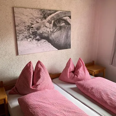Alpstein Herberg Wildhaus
