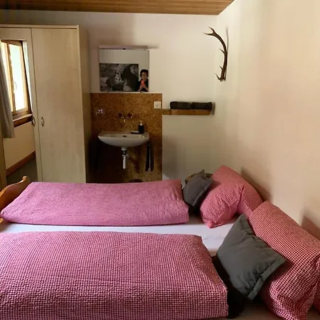 Alpstein Herberg Wildhaus
