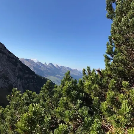 Alpstein 여관 *